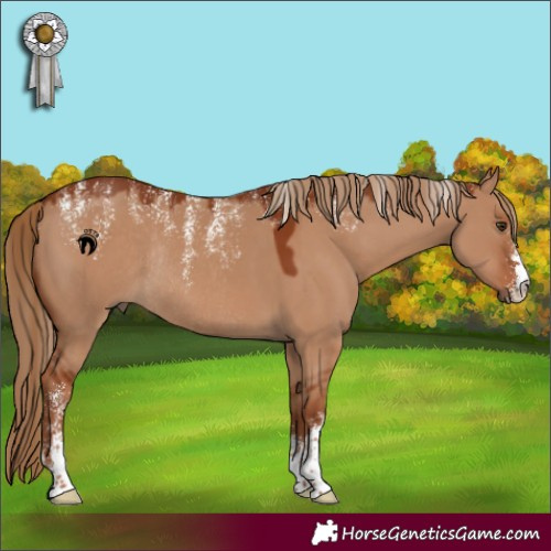 Horse Color:Powder White Red Dun Rabicano
