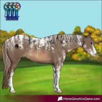 Horse Color:Powder White Red Dun 