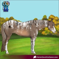 Horse Color:Powder White Red Dun