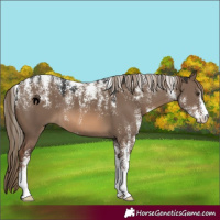 Horse Color:Powder White Red Dun 