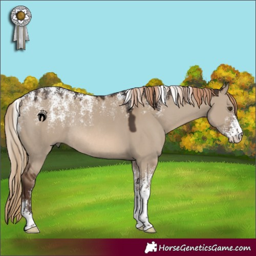 Horse Color:Powder White Red Dun Rabicano