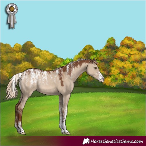 Horse Color:Powder White Red Dun Rabicano 