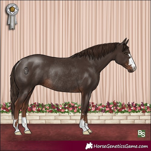 Horse Color:Liver Chestnut Rabicano 