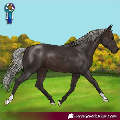 Horse Color:Silver Brown 