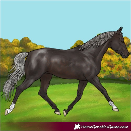 Horse Color:Silver Brown 