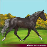 Horse Color:Silver Brown 