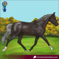 Horse Color:Silver Brown 