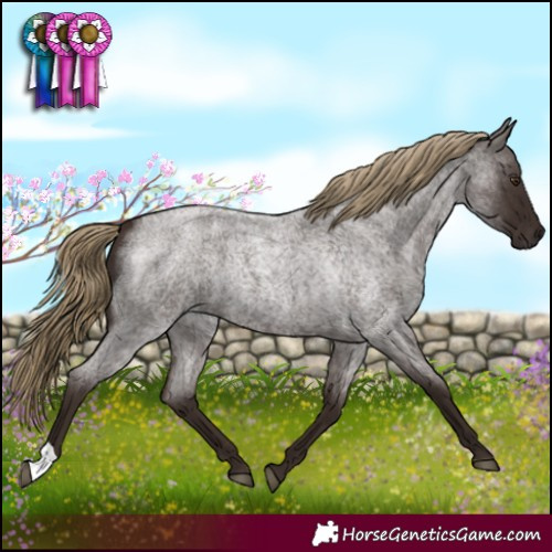 Horse Color:Liver Red Roan 