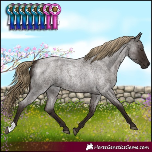 Horse Color:Liver Red Roan 