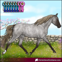Horse Color:Liver Red Roan 