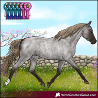 Horse Color:Liver Red Roan 