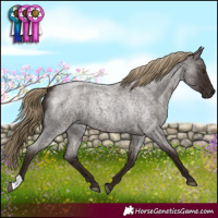 Horse Color:Liver Red Roan