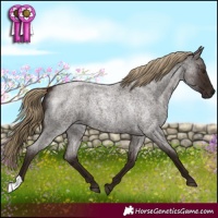 Horse Color:Liver Red Roan 