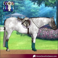Horse Color:White Spotted Liver Red Roan 