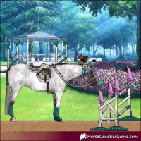 Horse Color:White Spotted Liver Red Roan