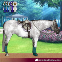 Horse Color:White Spotted Liver Red Roan 