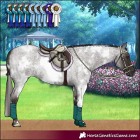Horse Color:White Spotted Liver Red Roan 