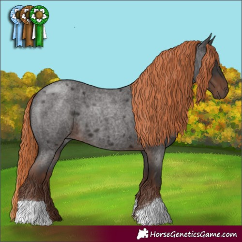 Horse Color:Liver Red Roan 