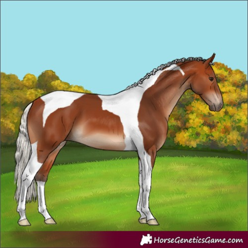 Horse Color:Silver Bay Tobiano 