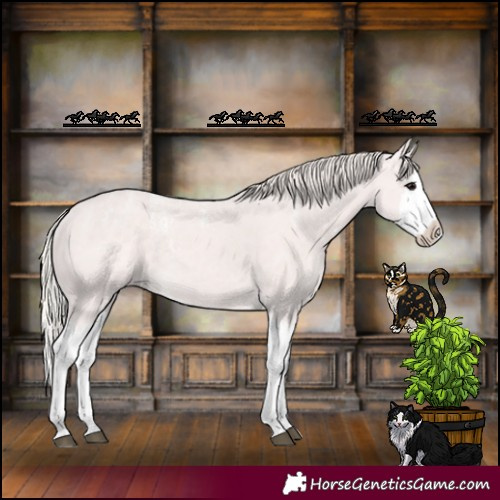 Horse Color:Powder White Silver Black Splash 