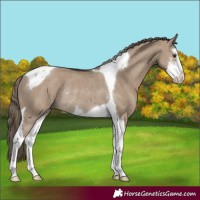 Horse Color:Liver Red Dun Sabino Tobiano Rabicano 