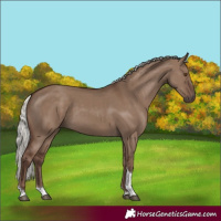 Horse Color:Silver Grullo Tobiano Rabicano
