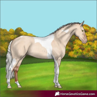 Horse Color:Silver Sable Champagne Dun Tobiano Rabicano 