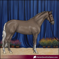 Horse Color:Silver Black Sabino Tobiano Rabicano 