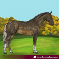 Horse Color:Silver Buckskin Tobiano Rabicano 