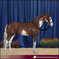 Horse Color:White Spotted Silver Brown