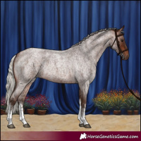 Horse Color:White Spotted Silver Bay Roan Rabicano 