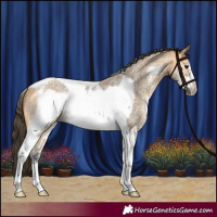 Horse Color:Buckskin Sabino Tobiano Frame Rabicano 