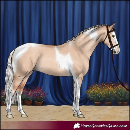 Horse Color:Silver Sable Champagne Dun Splash Tobiano Rabicano 