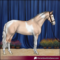 Horse Color:Silver Sable Champagne Dun Splash Tobiano Rabicano
