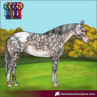 Horse Color:Brown Mushroom Tobiano Snowcap Rabicano 