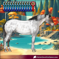 Horse Color:Brown Roan Tobiano Near Leopard 