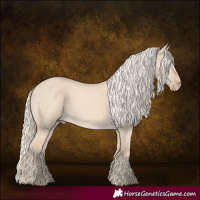Horse Color:Cremello Dun 