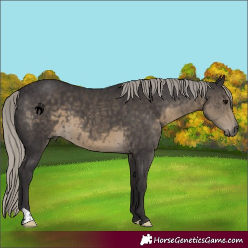 Horse Color:Silver Smoky Black 