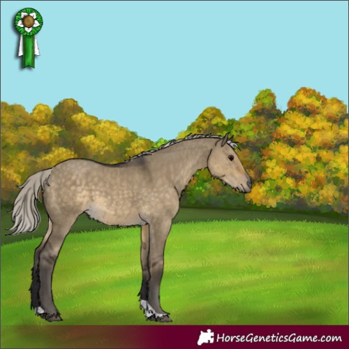 Horse Color:Silver Smoky Grullo Tobiano Rabicano 
