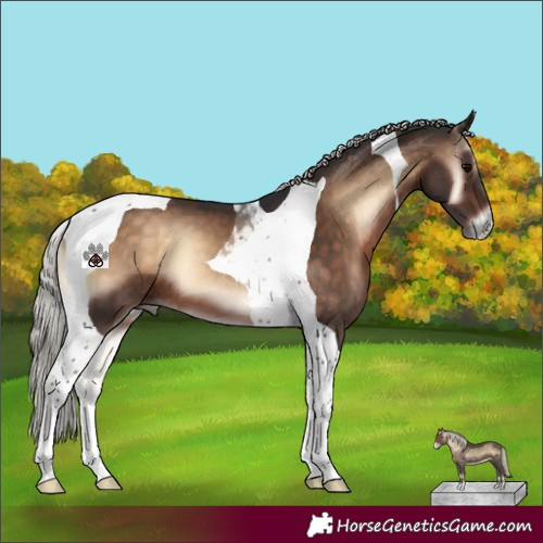 Horse Color:Silver Brown Onyx Tobiano 