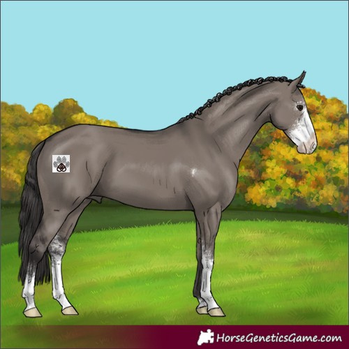 Horse Color:Smoky Grullo Sabino 