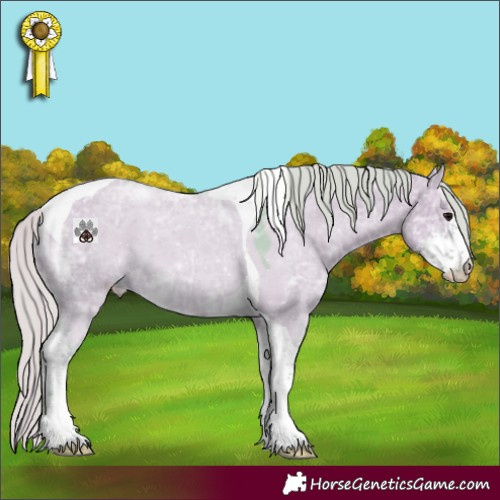 Horse Color:Watercolor Silver Grullo Ice Sabino Tobiano Appaloosa 