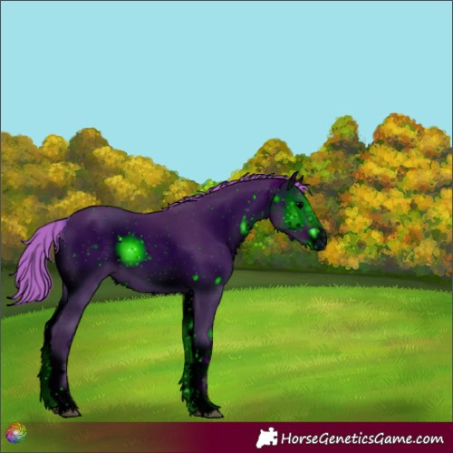Horse Color:ERROR: UNKNOWN ANOMALY