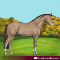 Horse Color:Classic Cream Champagne Tobiano
