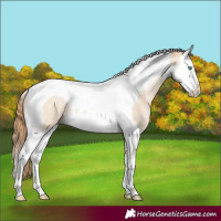 Horse Color:Smoky Grullo Pearl Splash Tobiano Rabicano