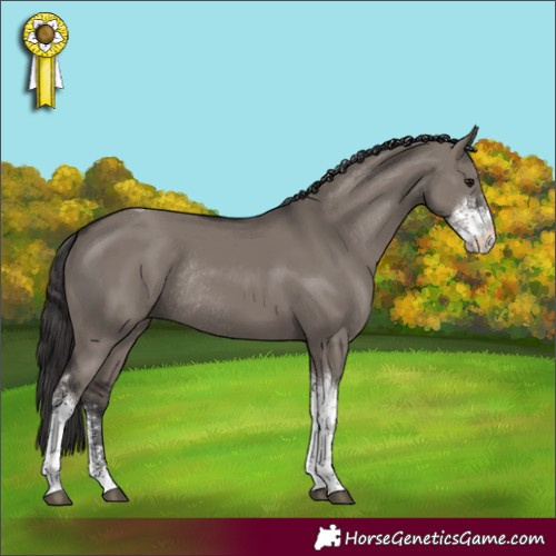Horse Color:Smoky Grullo Sabino Tobiano Rabicano 