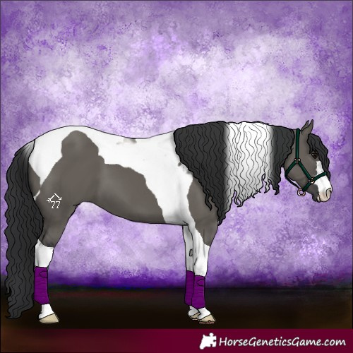 Horse Color:Grullo Tobiano