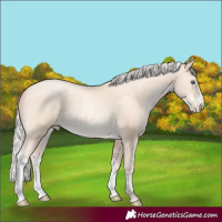 Horse Color:Silver Sable Cream Champagne Pearl Sabino 