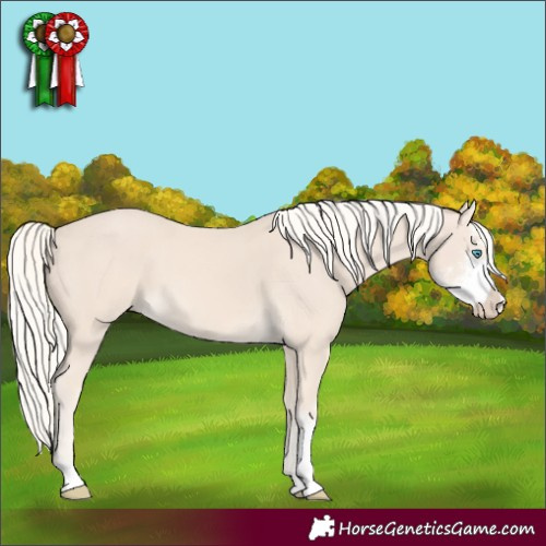 Horse Color:Cremello Sabino 