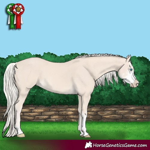 Horse Color:Cremello Sabino 